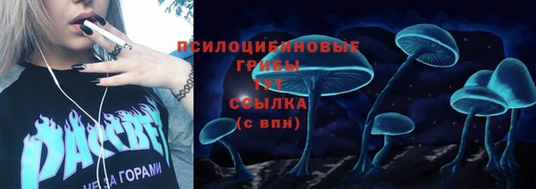 крисы Нефтегорск
