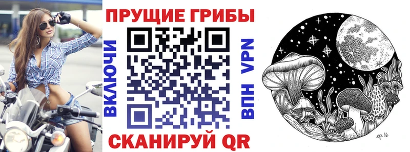 Галлюциногенные грибы ЛСД  Сусуман 